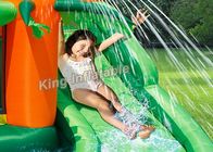 Trung tâm vui chơi nhiệt đới Jump Castle / Trượt nước bơm hơi cho trẻ em vào mùa hè